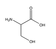 <strong>Of the following amino acids, which contains an alcohol?</strong> A) B) C) D) E) all of the above