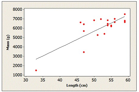 Use the following to answer the questions below: A biologist collected data on a sample of 20 porcupines. She wants to be able to predict the body mass of a porcupine (in grams)  based on the length of the porcupine (in cm) .  Her least squares regression equation is   where M is the mass. -A scatterplot of the biologist's data, with the least squares regression line, is provided. There is a clear outlier in the lower left corner of the plot. How would removing this point from the dataset most likely affect the correlation between body length (cm)  and body mass (g) ?   A)  It would make the correlation stronger. B)  It would make the correlation weaker. C)  It would have no impact on the correlation between body length and body mass.