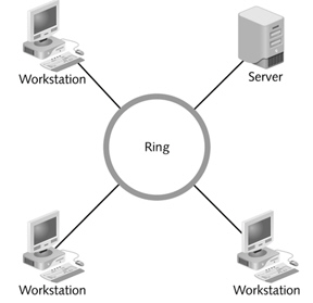 <strong> The figure above shows a ____ network.</strong> A)bus B)ring C)star D)None of the above.