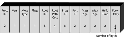   The figure above shows a(n)______________________________ frame in bytes.