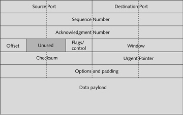   The figure above shows a TCP frame.