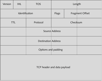   The figure above is an example of an IP packet.