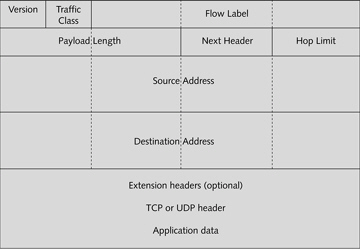   The figure above is an example of a TCP packet.