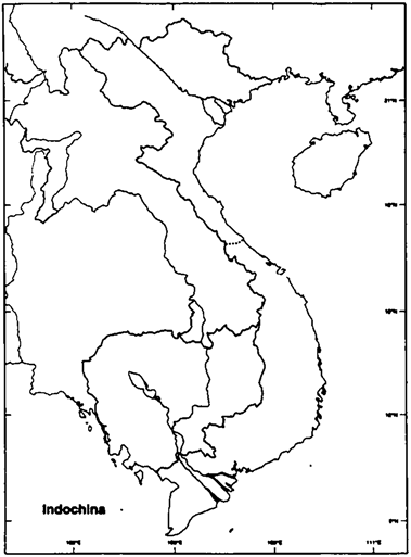 With a colored pen, mark the routes that constituted the Ho Chi Minh Trail. Use a map in the text as a reference.    Refer to Map Exercise 26-1. 