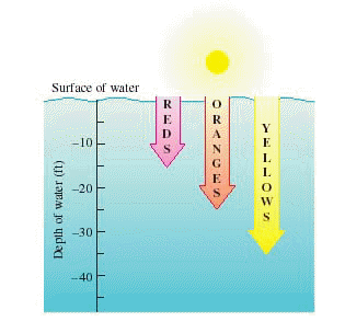 Sunlight is a mixture of all colors. When sunlight passes through water, the water absorbs different colors at different rates, as shown in the illustration below. Green light penetrates 4 times deeper than red light. Express this depth as a signed number. How far does green light penetrate?    __________ ft.