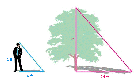  Use similar triangles to help solve the problem. A tree casts a shadow of 24 feet at the same time as a 5-foot tall man casts a shadow of 4 feet. Find the height of the tree.   A)   h = 27   ft B)   h = 42  ft C)   h = 30   ft D)   h = 35   ft E)   h = 22   ft 