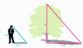  The tree in the illustration casts a shadow  c = 6   feet long, while a person  a = 6   feet tall casts a shadow  b = 4   feet long.  Find the height of the tree.   A)   \frac { 3 } { 12 }  B)  15 C)   \frac { 1 } { 9 }  D)  9 E)  none of these 