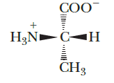 ​ Identify the class of basic biomolecules represented by the following structure.   A)  Carbohydrates B)  Amino acids C)  Nucleotides D)  Lipids