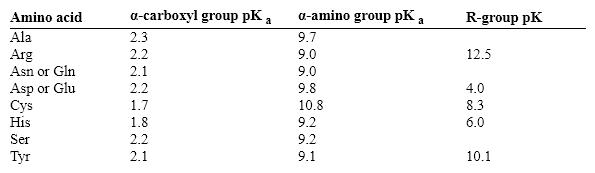 Exhibit 3A (for this chapter)    Refer to Exhibit 3A. The pI of the peptide ALA-GLN-ARG-SER-HIS would be: A)  Strongly acid B)  Weakly acid (4-6)  C)  About neutral (6-8)  D)  Weakly basic (8-10)  E)  Strongly basic