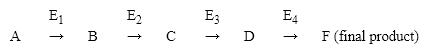 Many metabolic pathways involve multistep reactions. Consider the following pathway.   Which of the following would be an example of feedback inhibition? A)  the product of the final reaction, F, interacting with E<sub>1</sub>. B)  F interacting with an allosteric site in E<sub>4</sub>. C)  B interacting with an allosteric site in E<sub>1</sub>. D)  all of the intermediates or products in the reaction interacting with the active site in E<sub>1.</sub>