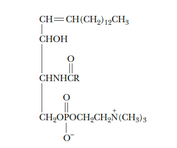 Identify the type of lipids represented by the following structure.   A)  Sphingolipids B)  Glycolipids C)  Triacylglycerols D)  Phosphoacylglycerols