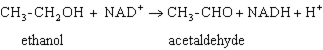 Exhibit 15A Consider the reaction of alcohol dehydrogenase.   Refer to Exhibit 15A. Which is the oxidizing agent? A)  Ethanol B)  NAD<sup>+</sup> C)  Acetaldehyde D)  NADH E)  H<sup>+</sup>