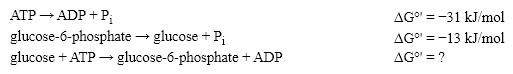 Consider these reactions:   What is the Δ G ° ' of the last reaction? A)  − 44 kJ\mol B)  − 18 kJ\mol C)  +18 kJ\mol D)  +44 kJ\mol E)  Cannot be determined from the information provided.