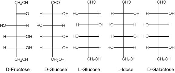 Exhibit 16B   Refer to Exhibit 16B. Diastereoisomers of D-Glucose include all of these, except : A)  D-Fructose B)  L-Glucose C)  L-Idose D)  D-Galactose E)  All of these are diastereoisomers of D-Glucose.