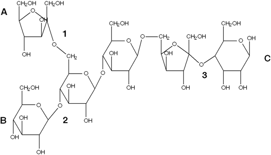 Exhibit 16C A polysaccharide.   Refer to Exhibit 16C. Which lettered subunit is the reducing end? A)  A B)  B C)  C D)  There is more than one nonreducing end on this carbohydrate. E)  There are no nonreducing ends on this carbohydrate.