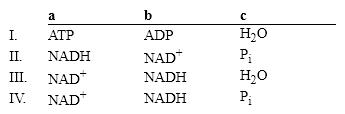 Which group of small molecules best fit the boxes associated with the reaction shown?     A)  I B)  II C)  III D)  IV