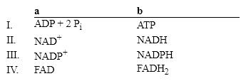 Which group of small molecules best fit the boxes associated with the reaction shown?     A)  I B)  II C)  III D)  IV