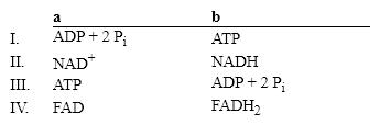 Which group of small molecules best fit the boxes associated with the reaction shown?     A)  I B)  II C)  III D)  IV