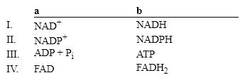 Which group of small molecules best fit the boxes associated with the reaction shown?     A)  I B)  II C)  III D)  IV