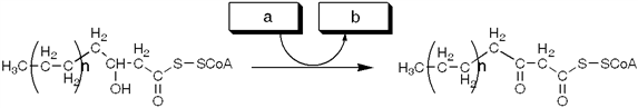 The enzyme activity catalyzing the reaction shown is best termed a   A)  reductase B)  hydratase C)  dehydratase D)  dehydrogenase