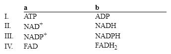 Which group of small molecules best fit the boxes associated with the reaction shown?     A)  I B)  II C)  III D)  IV