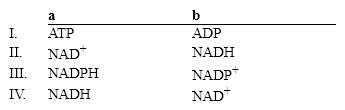 Which group of small molecules best fit the boxes associated with the reaction shown?     A)  I B)  II C)  III D)  IV