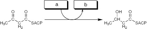 The enzyme activity catalyzing the reaction shown is best termed a   A)  reductase B)  ketothiolase C)  transferase D)  dehydratase