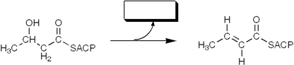 The enzyme activity catalyzing the reaction shown is best termed a   A)  reductase B)  ketothiolase C)  transferase D)  dehydratase