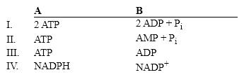Which group of small molecules best fit the boxes associated with the reaction shown?     A)  I B)  II C)  III D)  IV