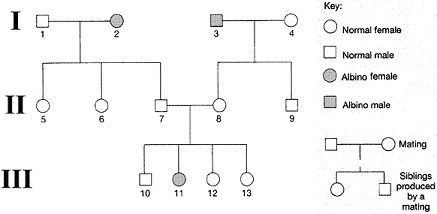 Figure 16-2   The inheritance pattern demonstrated by the pedigree in accompanying figure is: A)  autosomal recessive. B)  autosomal dominant. C)  X-linked recessive. D)  X-linked dominant. E)  undeterminable from these data.