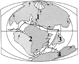 Figure 18-11   Based on the accompanying figure, which two present day continents should have the most closely related plant and animal species? A)  Eurasia and India B)  Australia and India C)  Africa and Australia D)  North and South America E)  Africa and South America