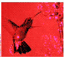 Figure 37-2   What type of floral attraction would work best on the pollinator in the accompanying figure? A)  white flowers B)  purple or blue flowers C)  a strong sweet scent D)  a strong carrion-like scent E)  sweet nectar