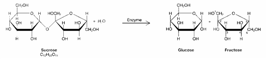 Figure 3-1   What chemical process is represented in the accompanying figure? A)  hydrolysis B)  denaturation C)  condensation D)  protein synthesis E)  dehydration synthesis