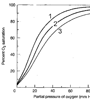 Figure 46-4   Oxygen-hemoglobin dissociation curves at three different pH levels The phenomenon illustrated in the accompanying figure is known as: A)  carbon dioxide unloading. B)  the Bohr effect. C)  hemoglobin transportation. D)  chloride shift. E)  residual capacity.