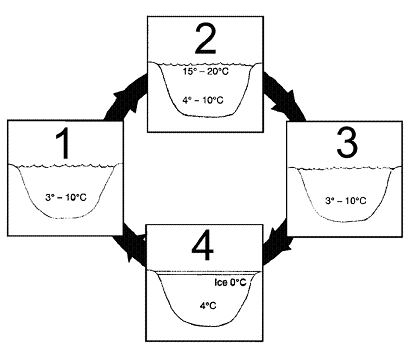 Figure 56-2   Which of the lakes in the accompanying figure may experience turnover? A)  2 and 4 B)  2 and 3 C)  3 and 4 D)  1 and 2 E)  1 and 3