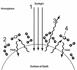 Figure 57-1   According to the accompanying figure, global warming would result from an increase in which of the labeled components? A)  1 and 2 B)  2 C)  2 and 3 D)  3 E)  4