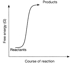 Figure 7-1   Which statement best describes the plot in the accompanying figure? A)  The figure represents an endergonic reaction. B)  The figure represents a spontaneous reaction. C)  The products have more free energy than the reactants. D)  The reactants have more free energy than the products. E)  The reaction is endergonic, and in addition, the products have more free energy than the reactants.