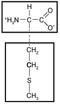 The following amino acid would be characterized as ____ based on the chemical properties of its side chain. ​   ​ A) basic B) acidic C) nonpolar D) hydrophilic E) electrically charged