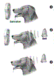 Figure 52-2 ​   ​ The first panel of the sequence in the accompanying figure reflects: A)  trial-and-error. B)  negative reinforcement. C)  an irrelevant stimulus. D)  the conditioned response. E)  the unconditioned response.