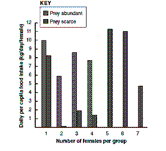 Figure 52-3 ​   ​ Based on the accompanying figure, when prey are abundant, the most effective hunting group size is: A)  1 B)  3 C)  4 D)  5 E)  7