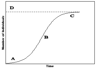 Figure 53-2 ​   ​ On the accompanying figure, identify the point that indicates the carrying capacity for this population. A)  A B)  B C)  C D)  D E)  Cannot be determined from this graph.