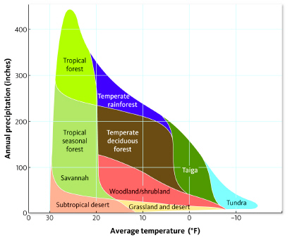 <strong>  This figure shows the relationship between average moisture and temperature across several different life zones. How many different life zones experience temperatures greater than 20°F and less than 100 inches of annual precipitation?</strong> A) one B) two C) three D) four <div style=padding-top: 35px> 