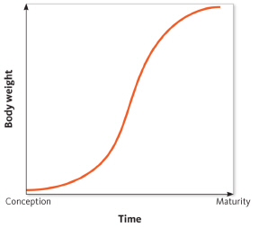   Based on this graph, does this organism exhibit determinate or indeterminate growth? A)  determinate growth B)  indeterminate growth