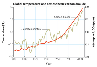   From 1980 to 2000, the global temperature A)  stayed the same. B)  increased less than 0.5 degrees. C)  increased exactly 0.5 degrees. D)  increased more than 0.5 degrees.