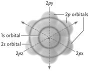     Figure 2.2 Answer the question using the accompanying figure. The electrons at the lowest energy level in the neon atom depicted are found in which orbital? ​ A) 1 s B) 2 s C) 2 p x D) 2 p y E) 2 p z