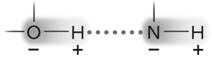     Figure 2.3 Answer the question using the accompanying figure. The molecule shown is held together by ____. ​ A) polar covalent bonds B) van der Waals forces C) ionic bonds D) hydrogen bonds E) nonpolar covalent bonds