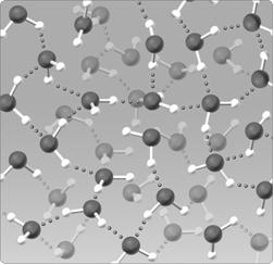  Figure 2.5 The water lattice illustrated in the figure above forms as a result of ____ between water molecules. ​ A) covalent bonds B) hydrogen bonds C) nonpolar interactions D) ionic bonds E) van der Walls forces