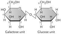  Figure 3.3 The disaccharide in the accompanying figure is ____. A) lactose B) fructose ​ C) maltose ​ D) cellulose ​ E) sucrose