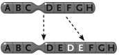   Figure 13.5 The change in the chromosome depicted between the top and the bottom in the accompanying figure represents a(n) ____. A) inversion B) duplication C) reciprocal translocation D) deletion E) Philadelphia chromosome