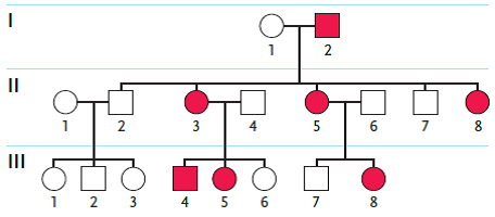<strong> Figure 13.7 Examine the pedigree in the figure above. Individuals affected by the genetic condition in question are indicated by filled squares or circles. Which inheritance pattern is most likely correct for this condition in this family? </strong> A)autosomal dominant B)X-linked recessive C)X-linked dominant D)cytoplasmic inheritance E)autosomal recessive